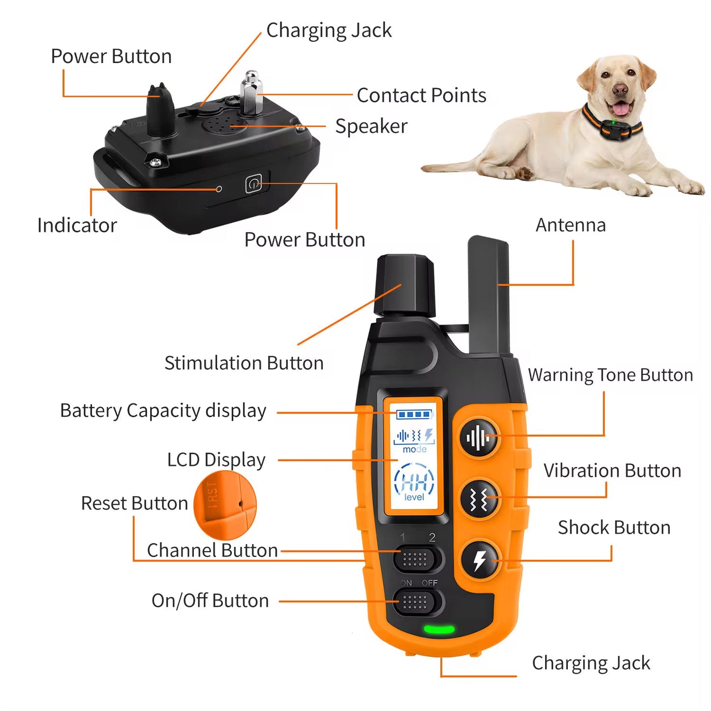 3300Ft Waterproof Electric Dog Training Collar with Remote Control for Pets Weighing 5-120lbs - Features Shock and Vibration Modes